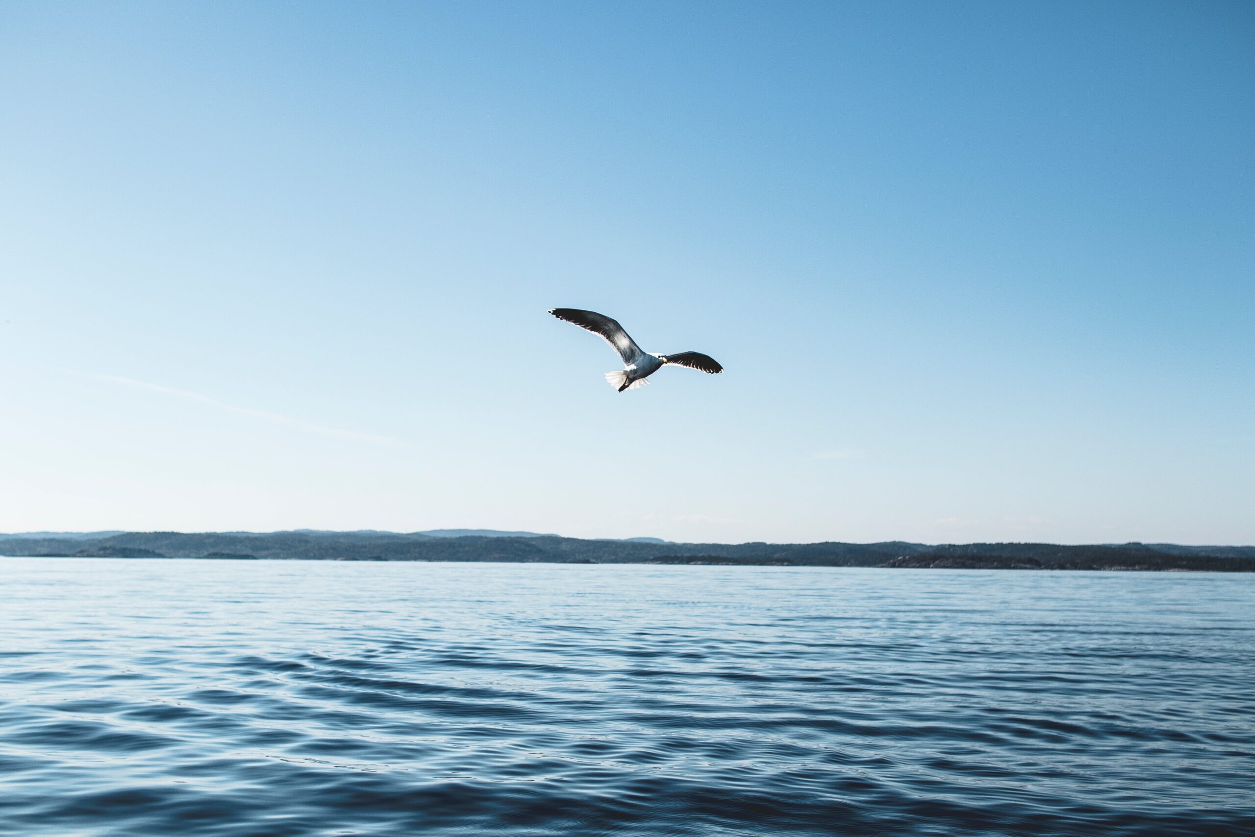 Via al Progetto ‘Un-silence your voice’: voce ai diretti interessati