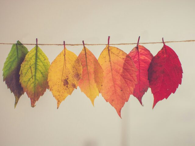 Un nuovo Statuto per rafforzare la nostra azione: Diritti alla Follia verso il riconoscimento come APS