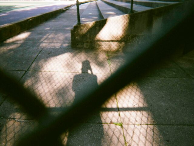 TSO post Consulta — Il diritto entra in reparto, ma la difesa è ancora alla porta